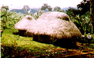 Casa Shuar