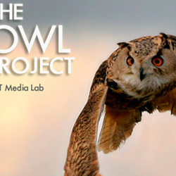 Owl Project - MIT Media Lab